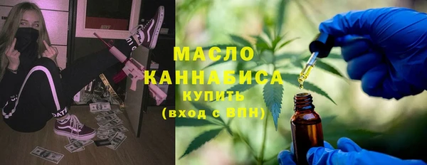 молекула духа Каменногорск