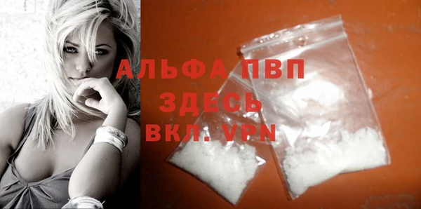 молекула духа Каменногорск
