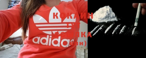 молекула духа Каменногорск