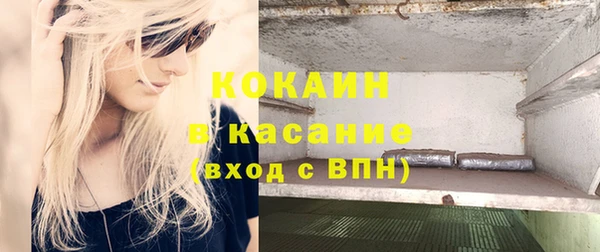 молекула духа Каменногорск